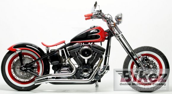 2011 Covingtons Beach Cruiser photo
